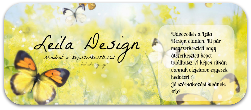 Leila Design Kpszerkeszt Designbzis